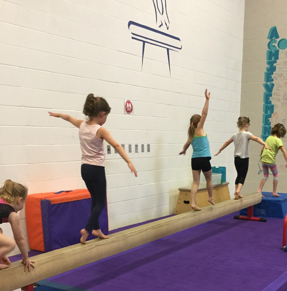 CanGym :: Yellowknife Gymnastics Club